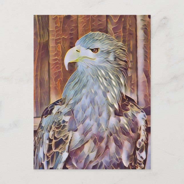 CARTE POSTALE EAGLE DE MER (Devant)