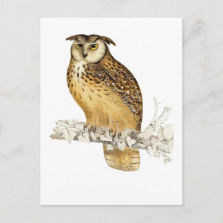 Carte Postale Eagle Owl