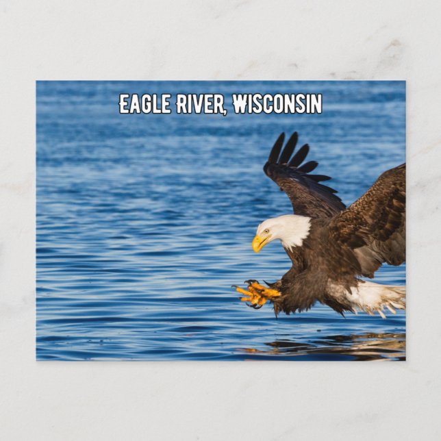 Carte postale Eagle River Flying Eagle Wisconsin (Devant)