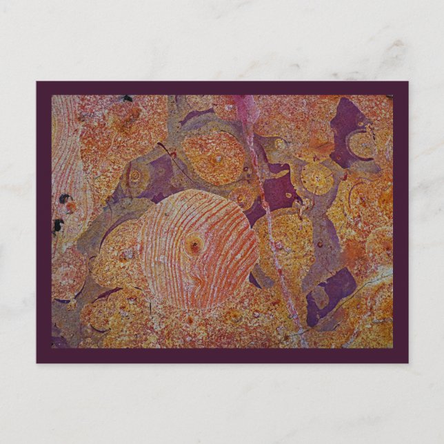 Carte postale Earth Design (Devant)