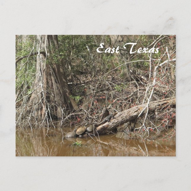 Carte postale East Texas (Devant)