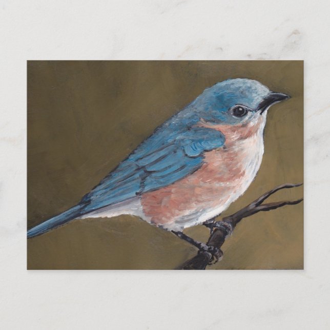 Carte postale Eastern Bluebird Bird Art (Devant)