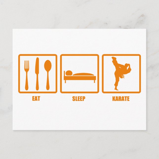 Carte Postale Eat Sleep Karate (Devant)