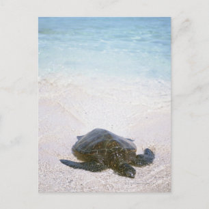 Carte Postale Eau