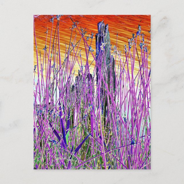 CARTE POSTALE EAU (Devant)