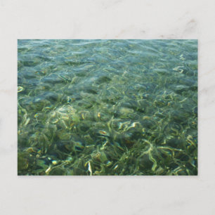 Carte Postale Eau au-dessus de la mer Herbe I Caraïbes Nature