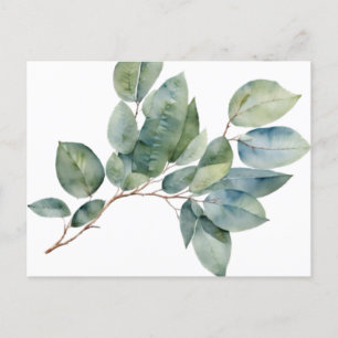 Carte Postale Eau-couleur eucalyptus verdure