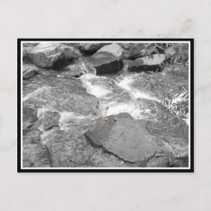 Carte Postale Eau et rochers