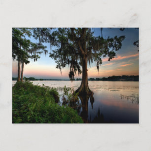 Carte Postale Eau   Kraft Azalea Park Maitland Floride
