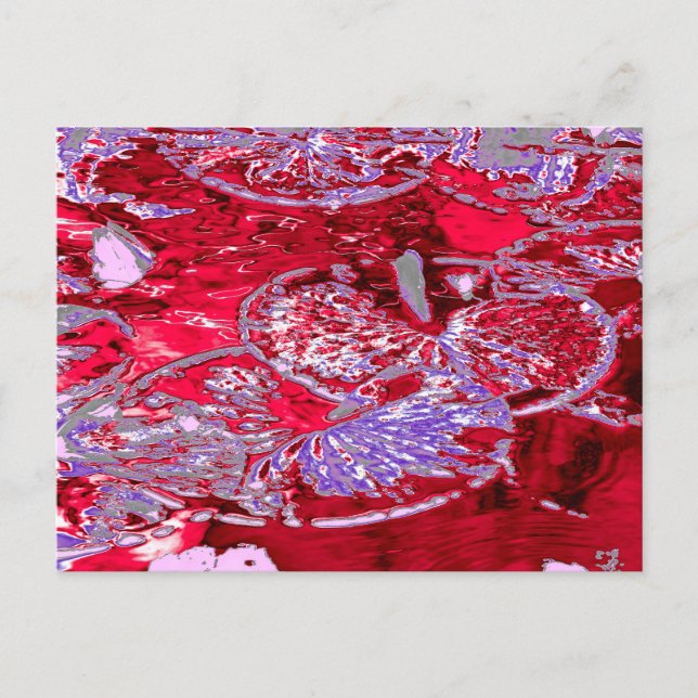 CARTE POSTALE EAU LILY POND (Devant)