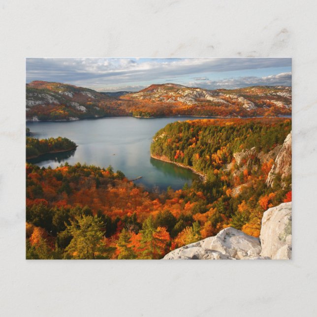Carte Postale Eau | Parc provincial Killarney Canada (Devant)