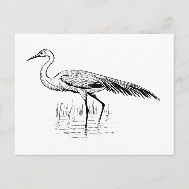 Carte Postale ébranler (Devant)