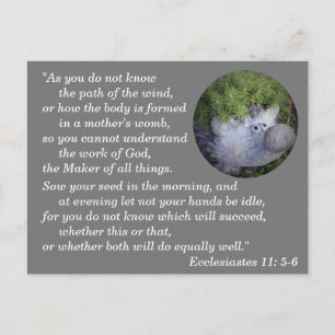 Carte Postale Ecclésiaste 11:5-6 Verset de la Bible à mémoriser