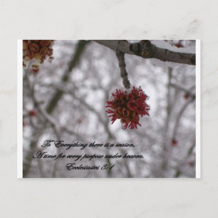 Carte Postale Ecclesiaste 3:1