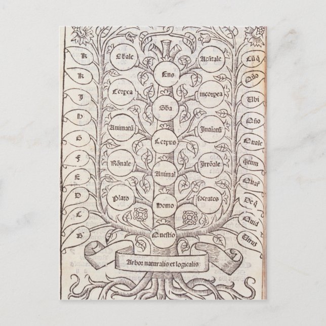 Carte Postale Échelle céleste (Devant)