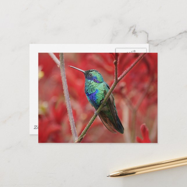 Carte Postale Éclat Iridescendant (Devant/Arrière en situation)