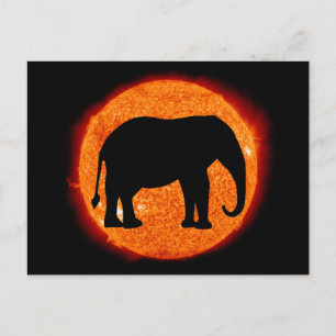 Carte Postale Éclipse solaire éléphant