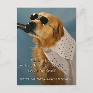 Carte Postale Économisez La Marche Du Chien À L'Écart Sénateur F