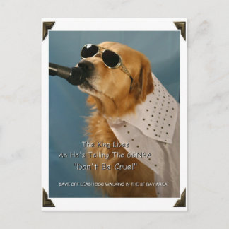 Carte Postale Économisez La Marche Du Chien En Dehors-Leash Séna