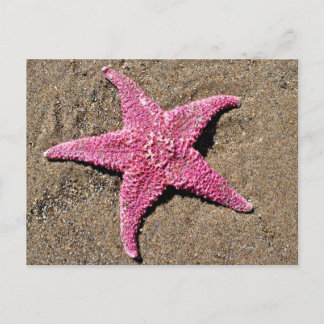 Carte Postale Écorce rose