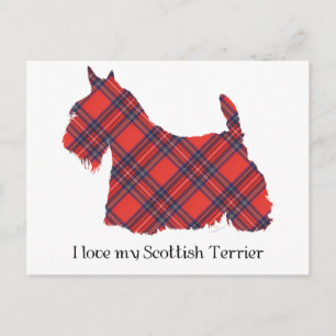 Carte Postale écossais Terrier Stewart Tartan