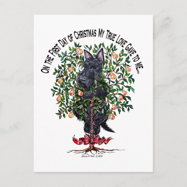 Carte Postale Ecosse dans un arbre à poires (Devant)