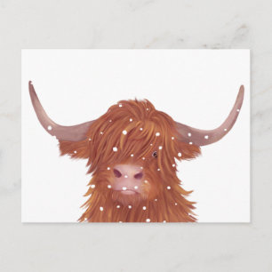 Carte Postale Écosse Highland Cow Winter