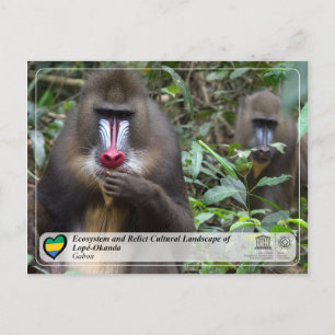Carte Postale Écosystème et paysage culturel de Lopé-Okanda