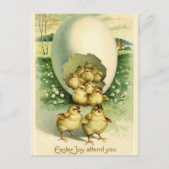 Carte Postale Écouter des poussins de la coquille géante Salutat (Devant)