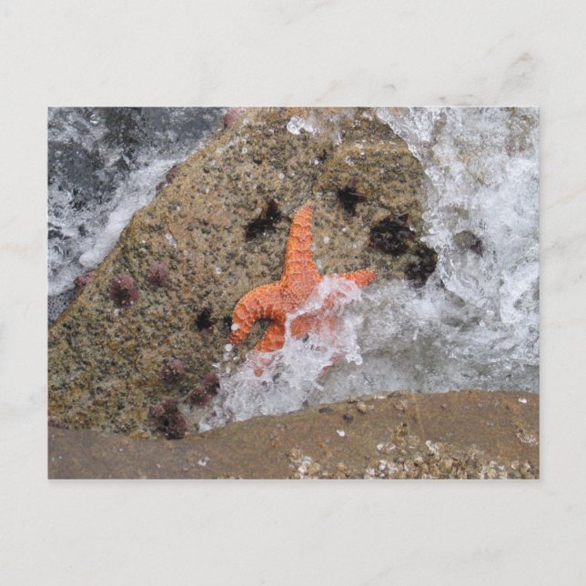 Carte Postale Écre (Devant)