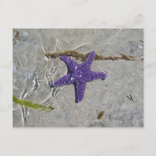 Carte Postale Écre