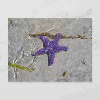 Carte Postale Écre