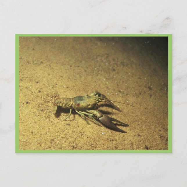 Carte Postale Écrepoisson (Devant)
