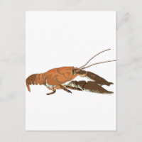 Écrepoisson réaliste/Crawdad