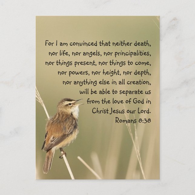 Carte Postale Écriture biblique inspirante Citation Romains 8:38 (Devant)