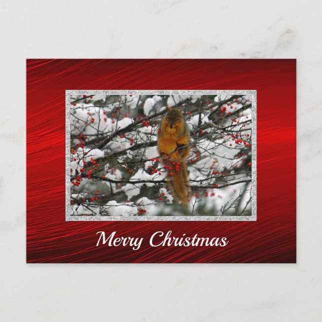 Carte Postale Écureuil Berry Tree Photo Noël (Devant)