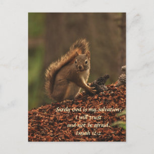 Carte Postale Écureuil - Confiance