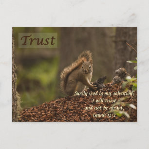 Carte Postale Écureuil - Confiance