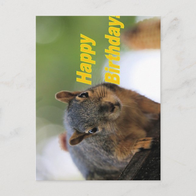 Carte Postale Écureuil d'anniversaire  (Devant)