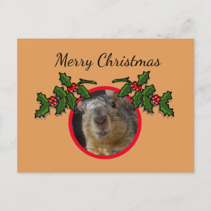 Carte postale - écureuil de Noël