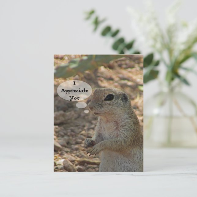 Carte Postale Écureuil de Terre Photo Animal du Désert Apprécié (Debout devant)