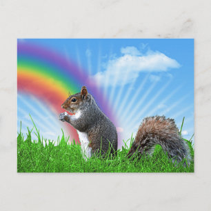 Carte Postale Écureuil et ciel arc-en-ciel