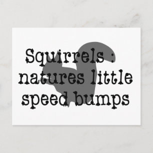 Carte Postale Écureuil : Natures Petites Speedbumps