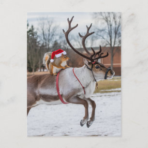 Carte Postale Écureuil Père Noël adorable et renne bondissant