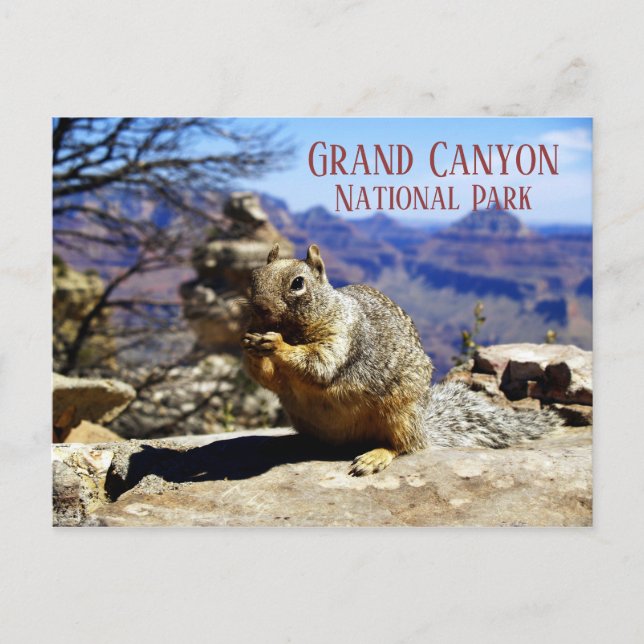 Carte Postale Écureuil sur Rock Nibbling Snack, Grand Canyon (Devant)