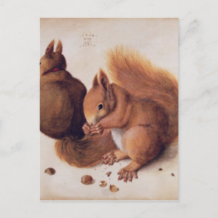 Carte Postale Écureuils, 1512