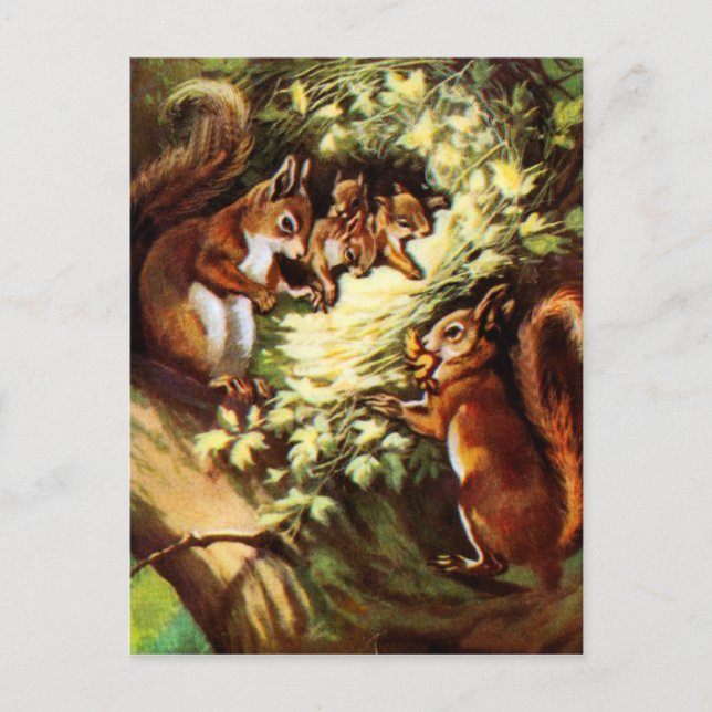Carte Postale Écureuils vintages (Devant)