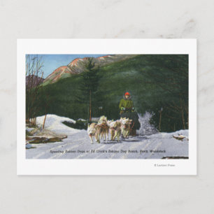 Carte Postale Ed Clark's Eskimo Dog Ranch, Dogsledding