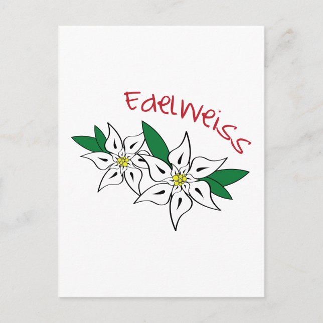 Carte Postale Edelweiss (Devant)