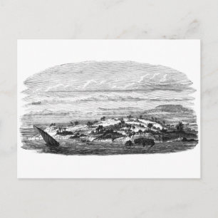 Carte Postale Eden dans le golfe Persique